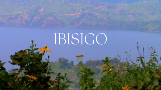 Ibisigo (court-métrage)